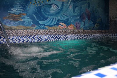 Русский номер в Банном комплексе «У Лукоморья»